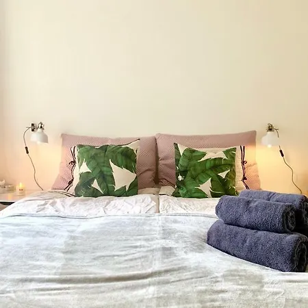 Cute Pug Guest Проживание в семье *
