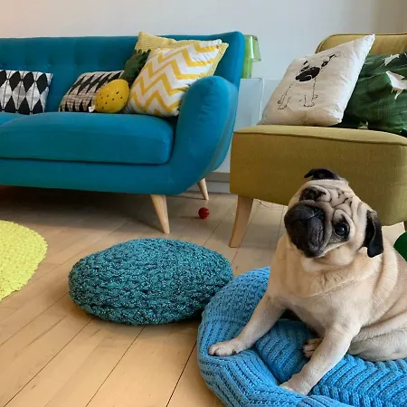 Privatunterkunft Cute Pug Guest *