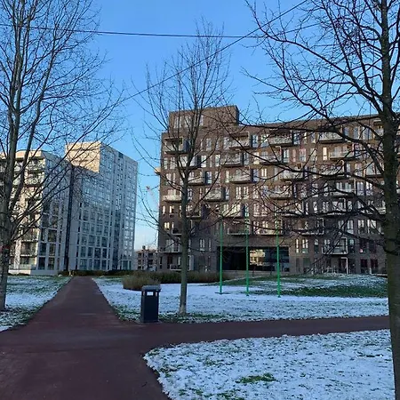 Cute Pug Guest Copenhagen